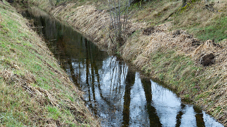 Image-90