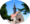 Höwisch