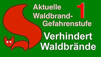 waldbrand-card-1