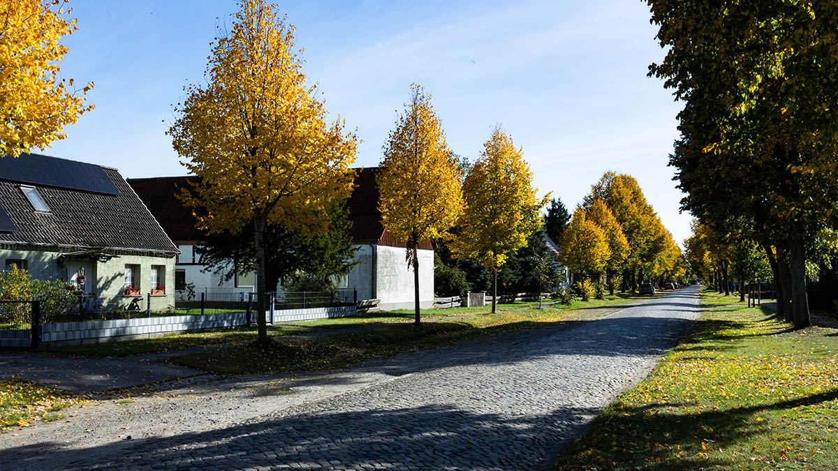 dorfstrasse-herbst